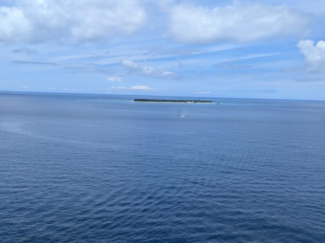 ヘリコバクター・ピロリ菌に感染していない胃癌（胃底腺型胃癌）について