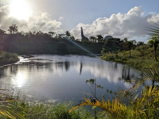 大腸がんにならないようにするには