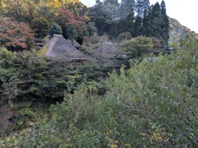 鉄欠乏性貧血を指摘されたら～食事療法を中心に～